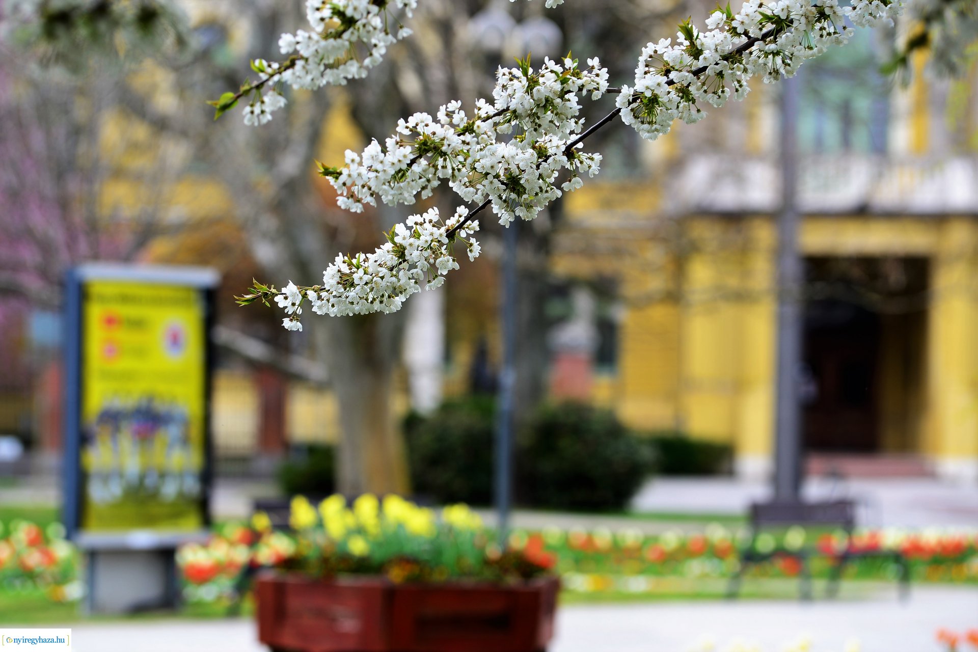 Színpompás belvárosunk