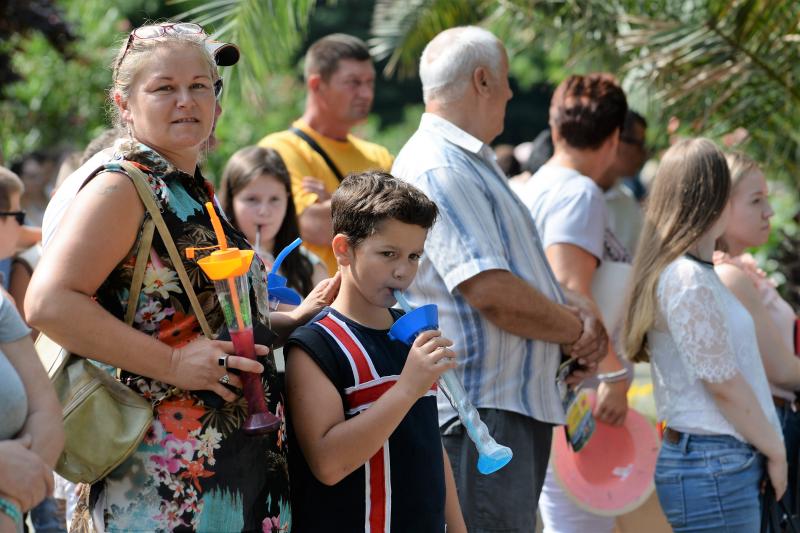 Szociális gondozók, ápolók családi napja a Nyíregyházi Állatparkban