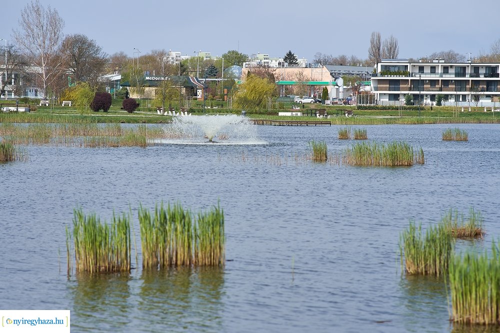 Szökőkút üzembe helyezés a Bujtoson