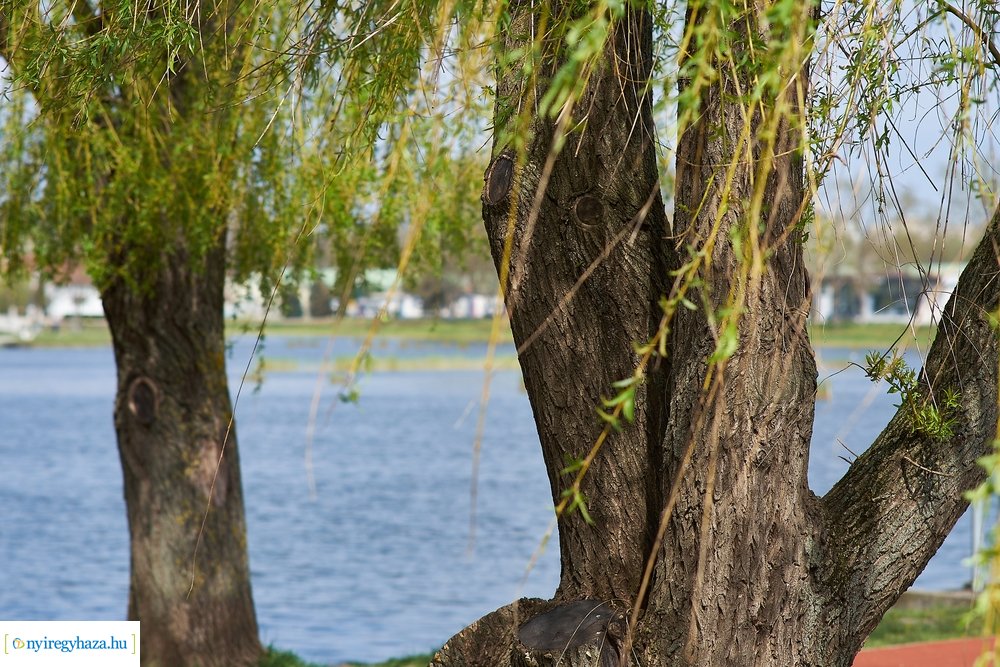 Szökőkút üzembe helyezés a Bujtoson