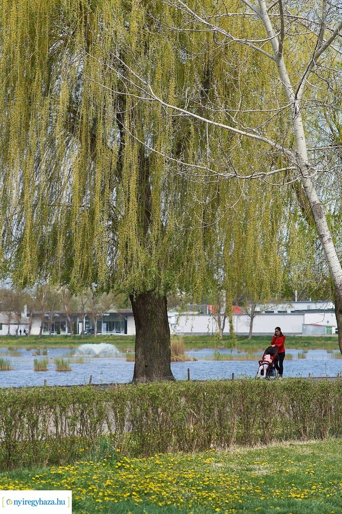 Szökőkút üzembe helyezés a Bujtoson