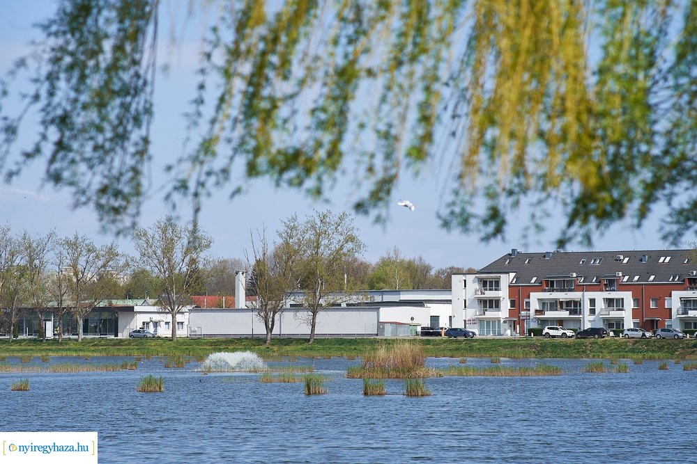 Szökőkút üzembe helyezés a Bujtoson