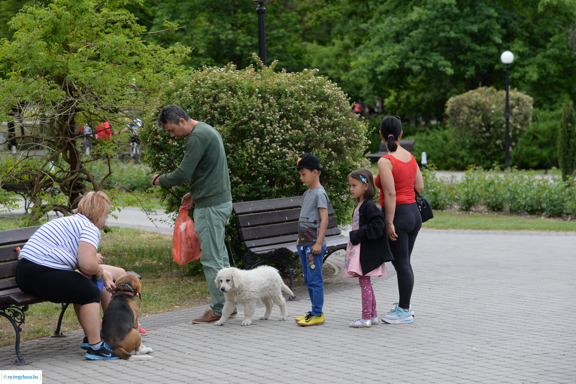 Szombat délután benépesült Sóstó