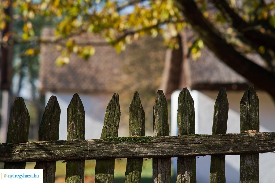 Szünetelj velünk! 20211026