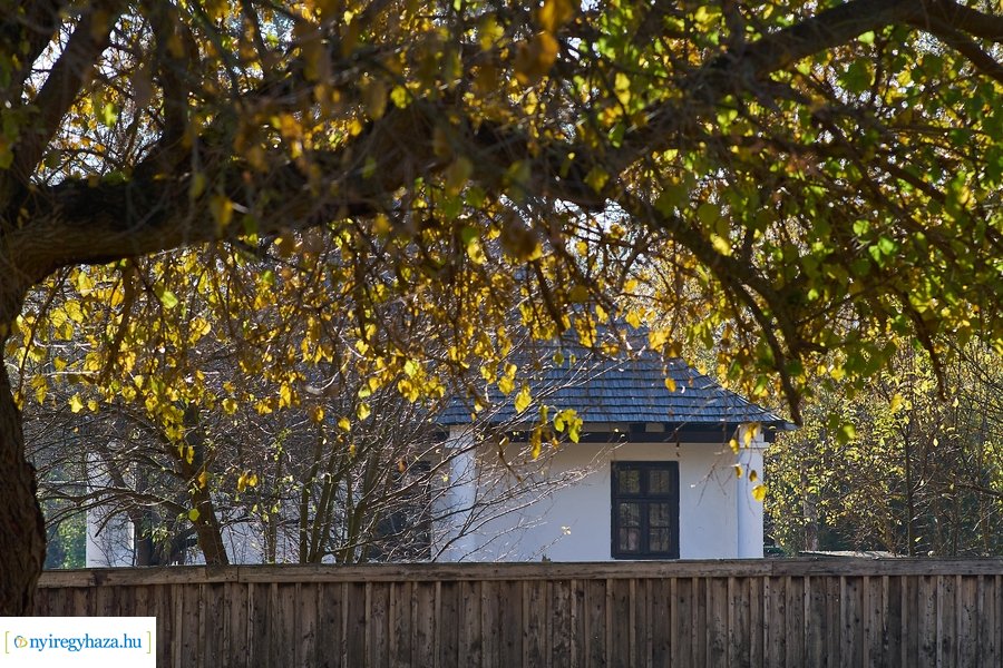 Szünetelj velünk! 20211026