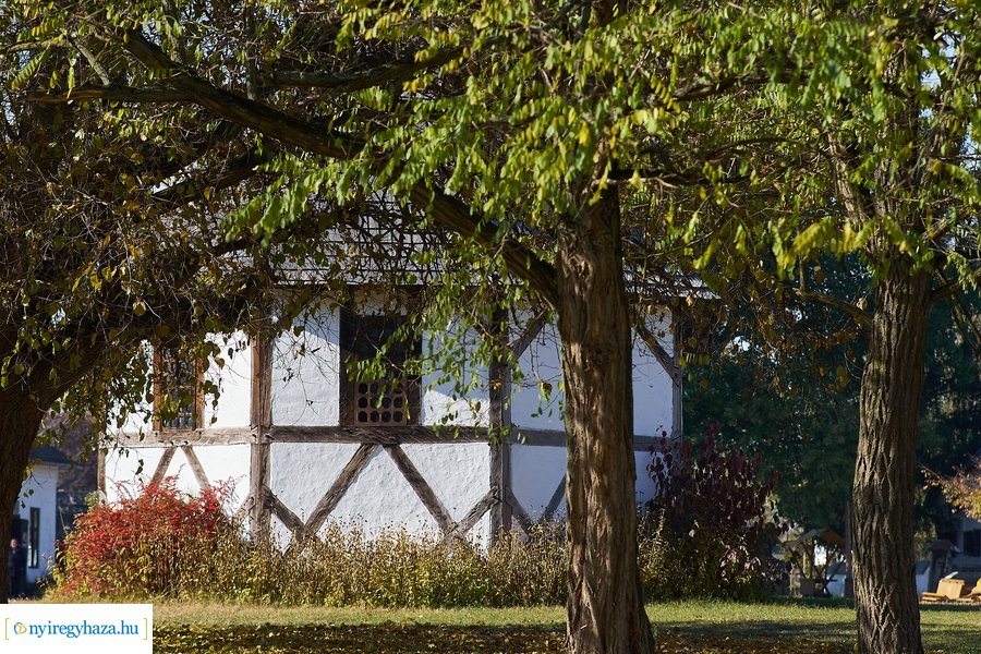 Szünetelj velünk! 20211026