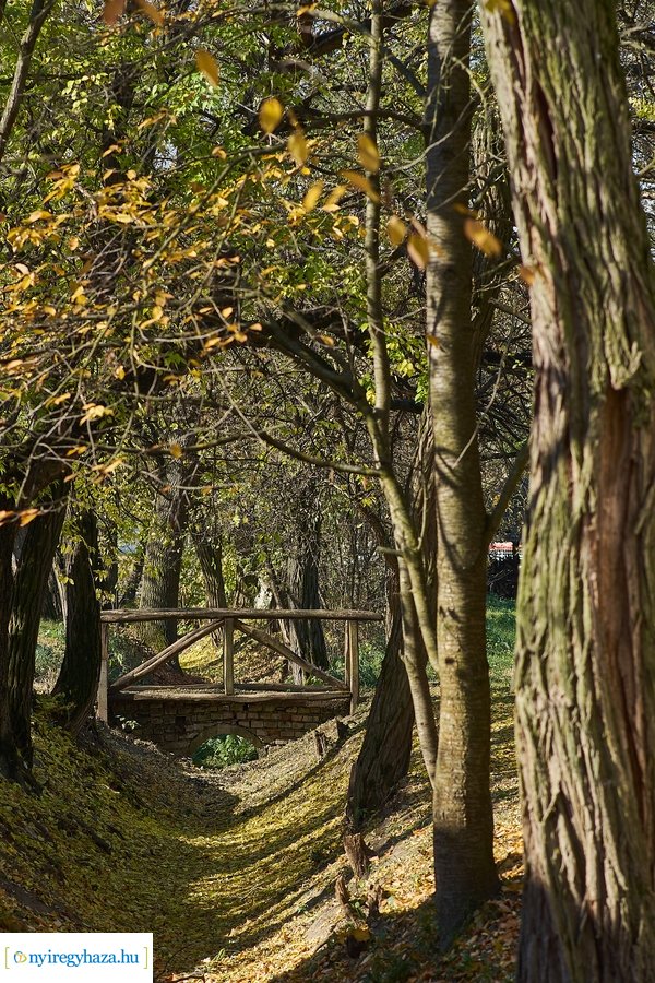 Szünetelj velünk! 20211026