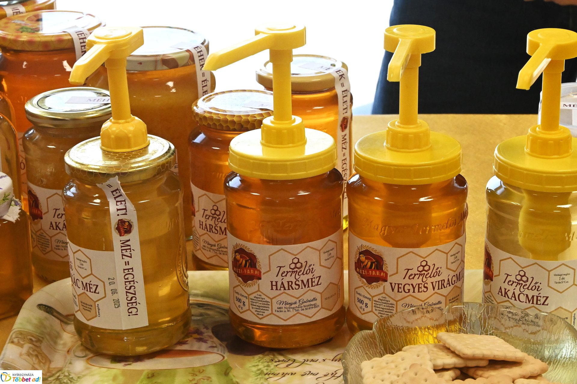 Szűrések az Egészség Világnapján