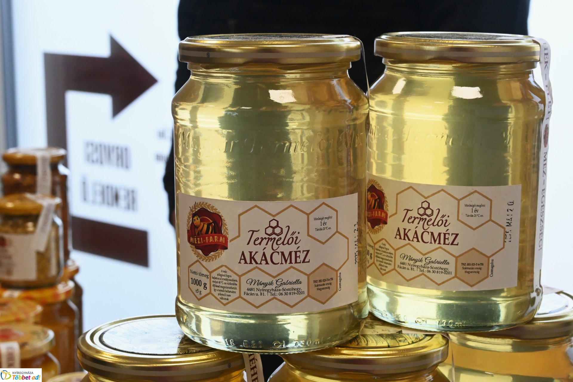 Szűrések az Egészség Világnapján