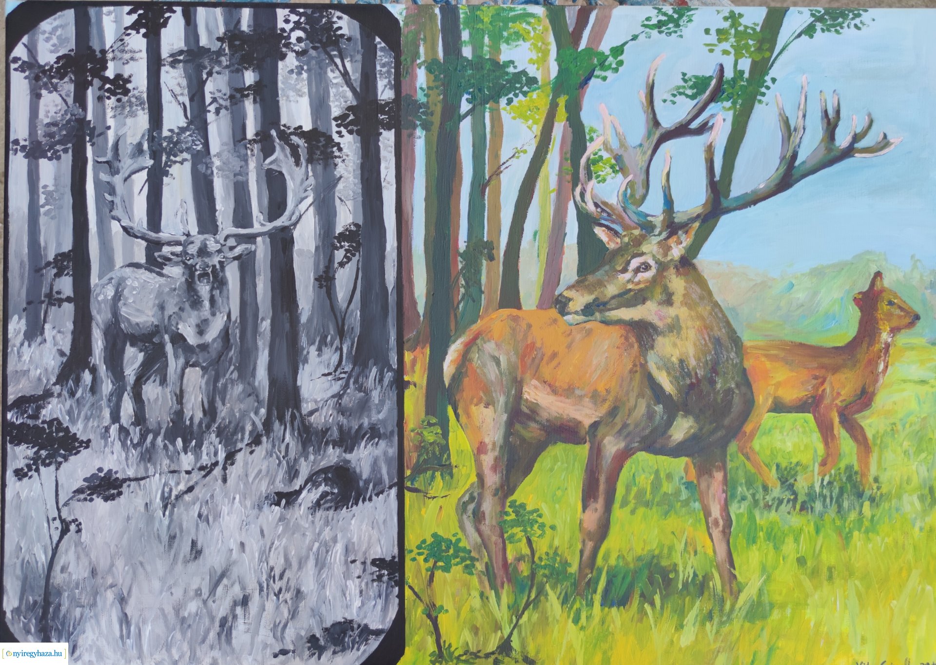 Tájak, pillanatok, élmények  – Lát/kép