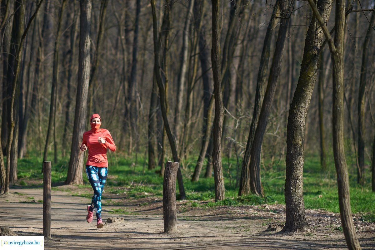 Tájékoztató tábla az Erdei Tornapályán