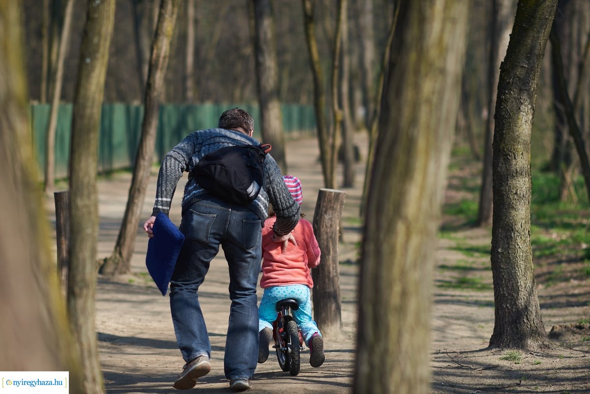 Tájékoztató tábla az Erdei Tornapályán