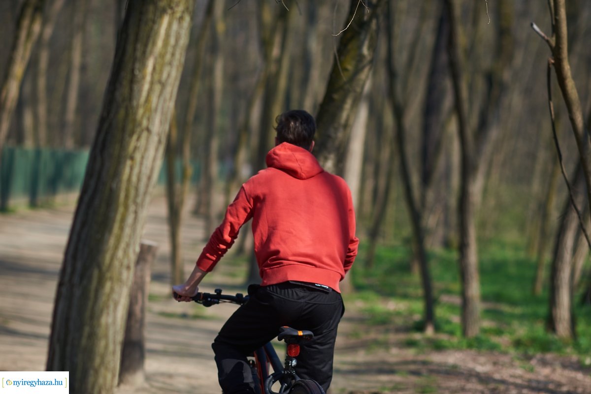 Tájékoztató tábla az Erdei Tornapályán