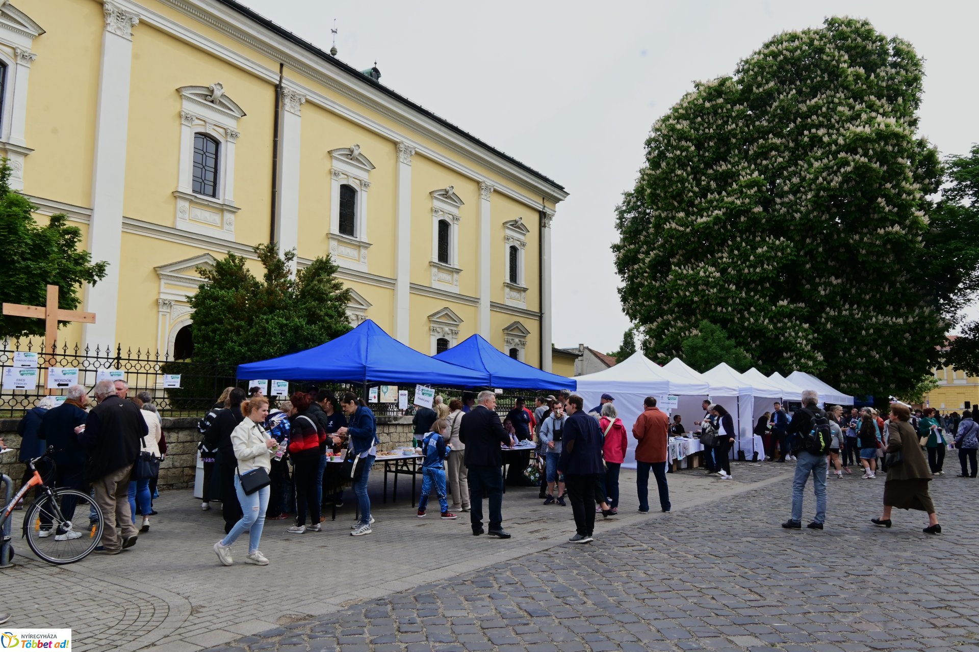 Találkozó veled