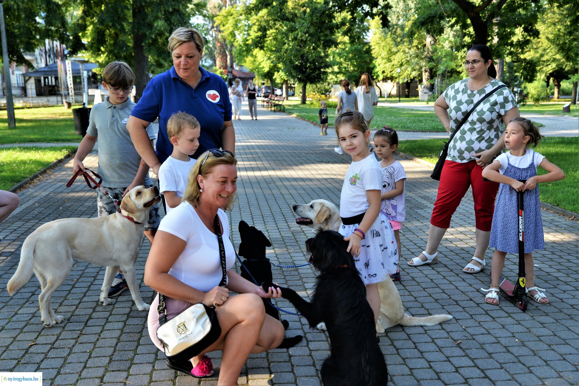 Táncest Sóstón - csütörtökön családi programok várták az érdeklődő közönséget
