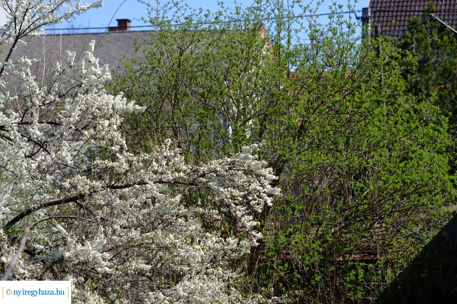 Tavasz 2021 04 05
