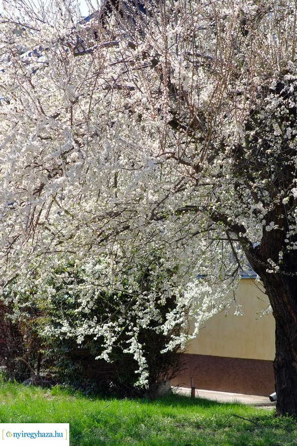 Tavasz 2021 04 05