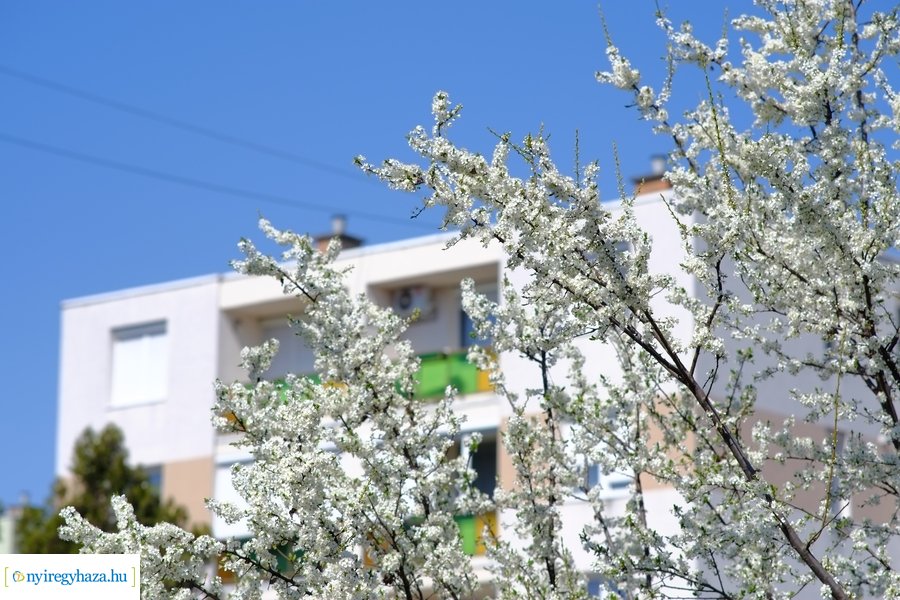 Tavasz 2021 04 05