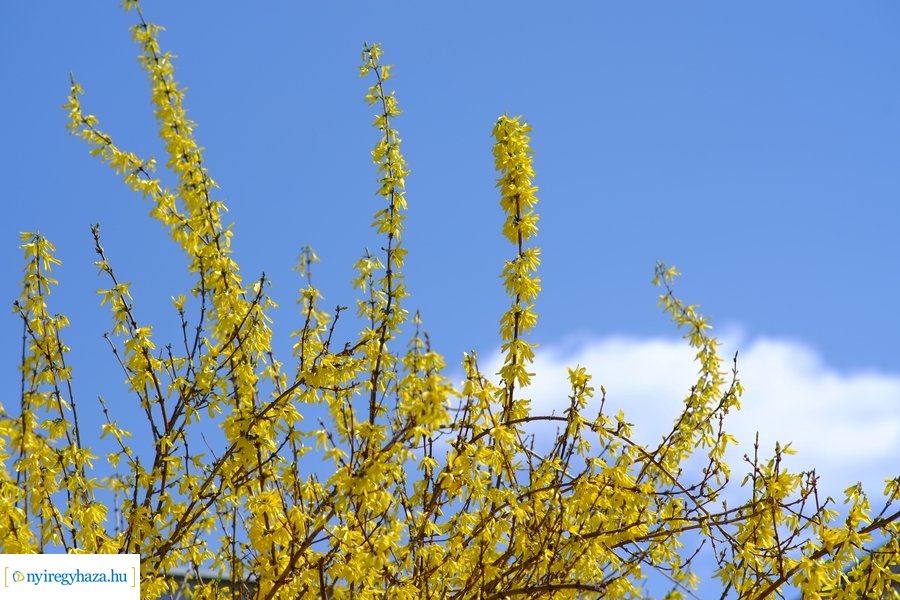 Tavasz 2021 04 05
