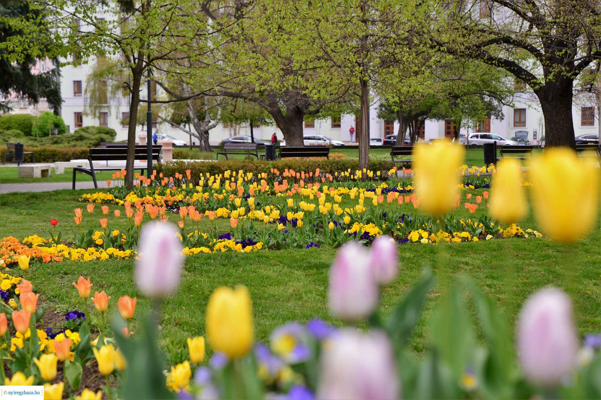 Tavasz a belvárosban