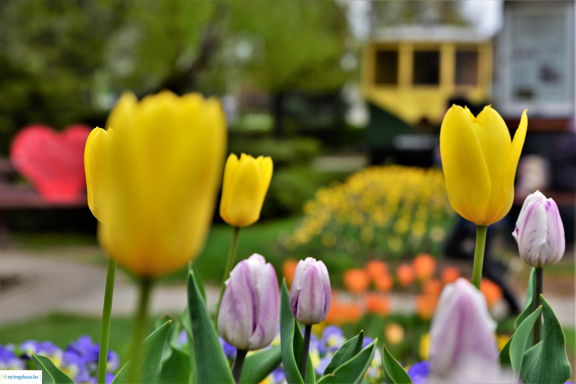 Tavasz a belvárosban