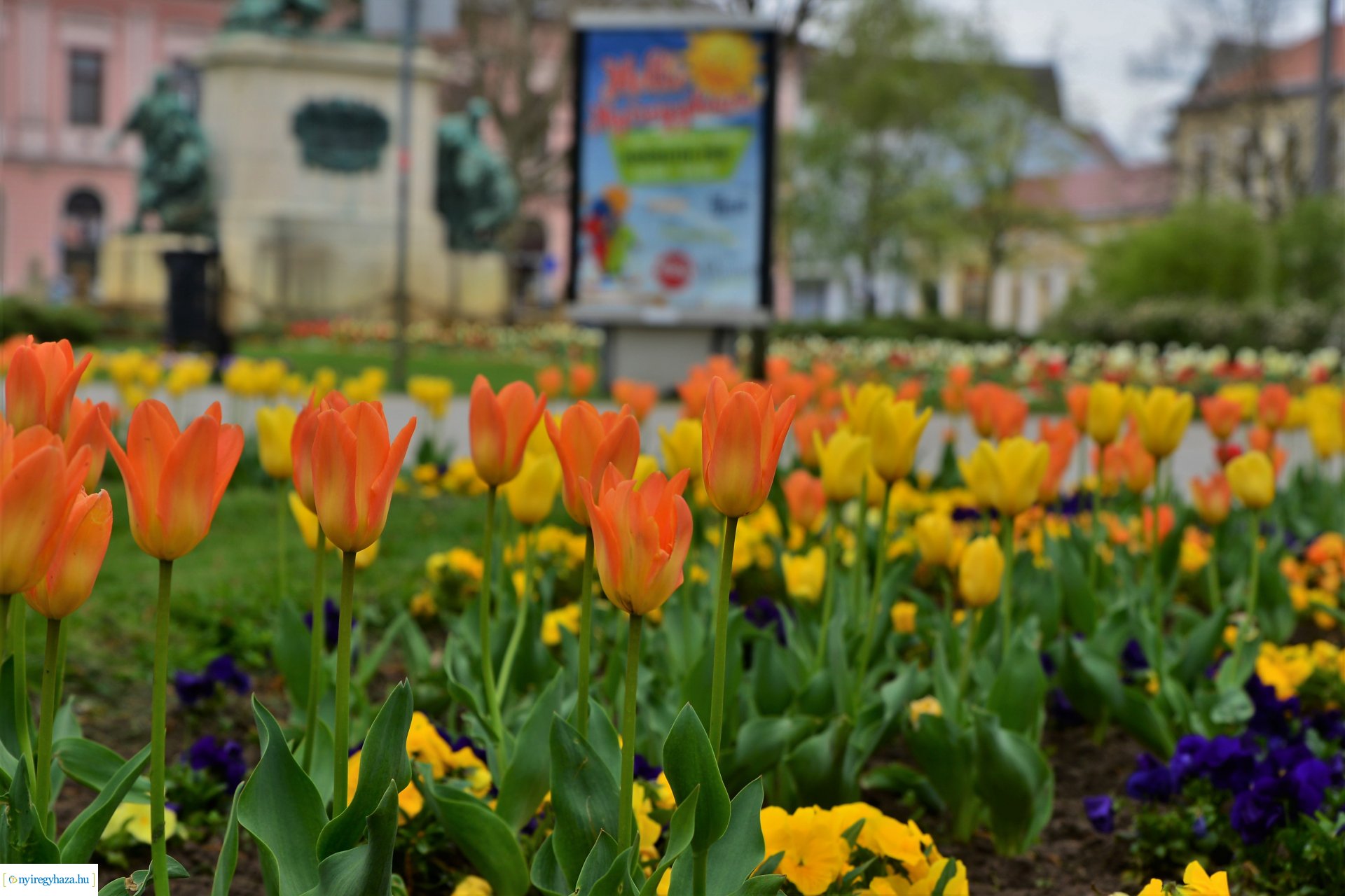 Tavasz a belvárosban