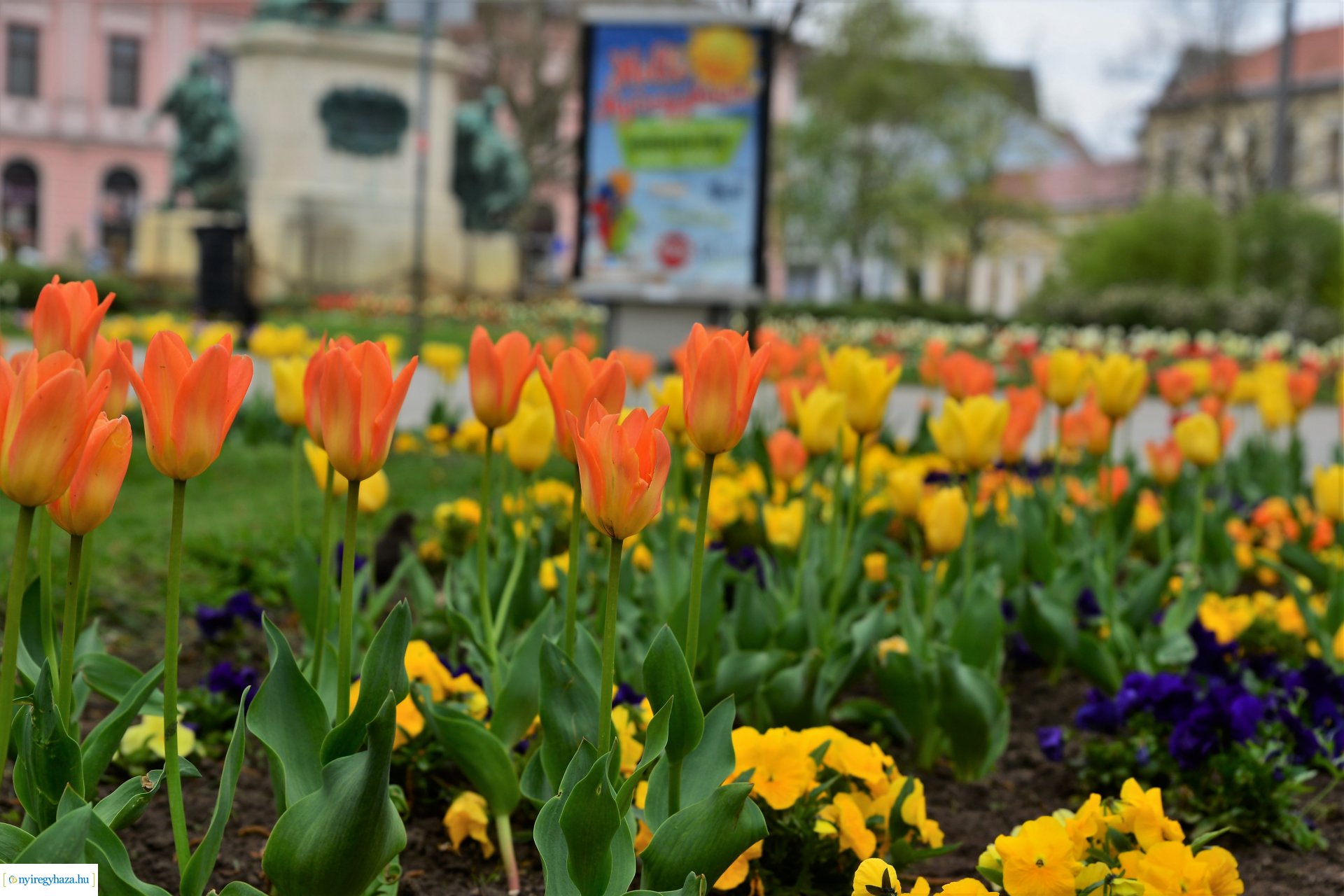 Tavasz a belvárosban