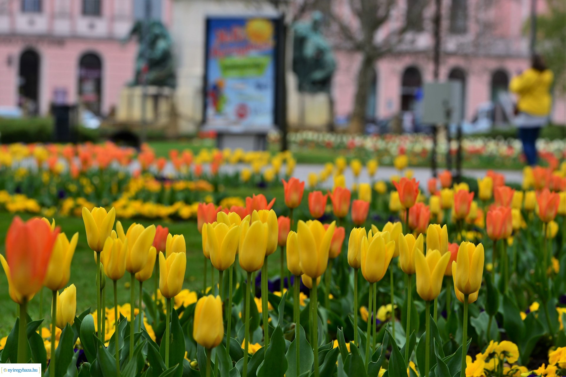 Tavasz a belvárosban