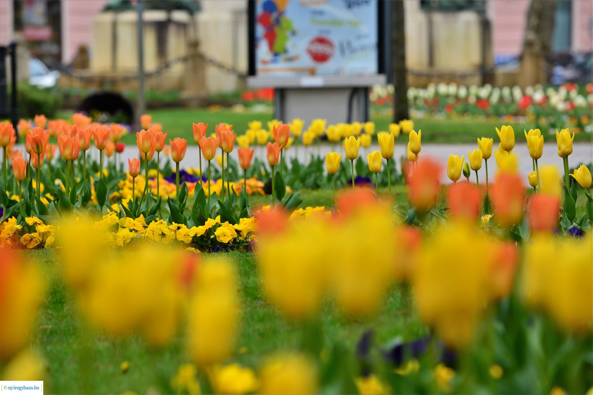 Tavasz a belvárosban