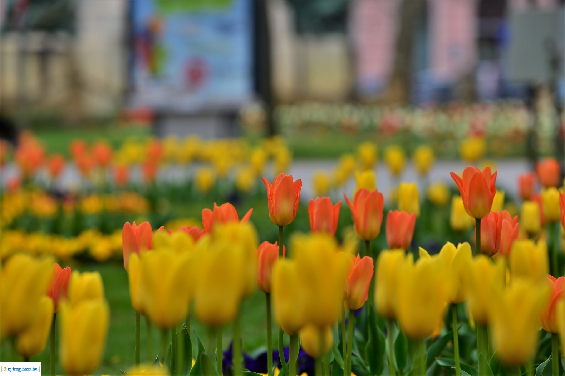 Tavasz a belvárosban
