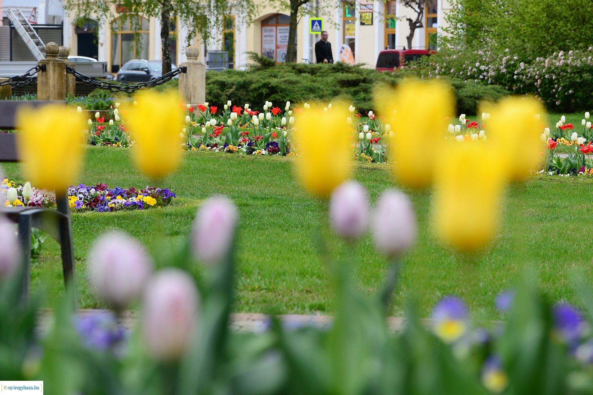 Tavasz a belvárosban