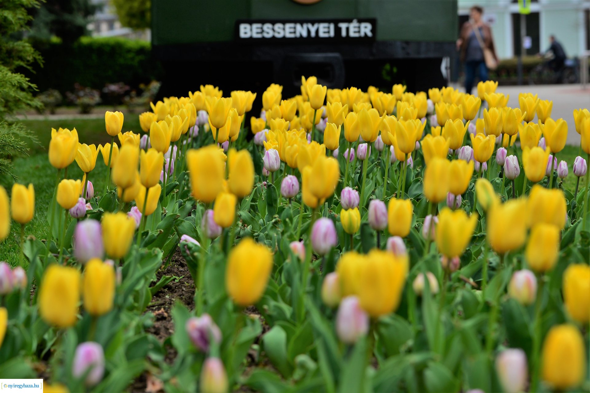 Tavasz a belvárosban