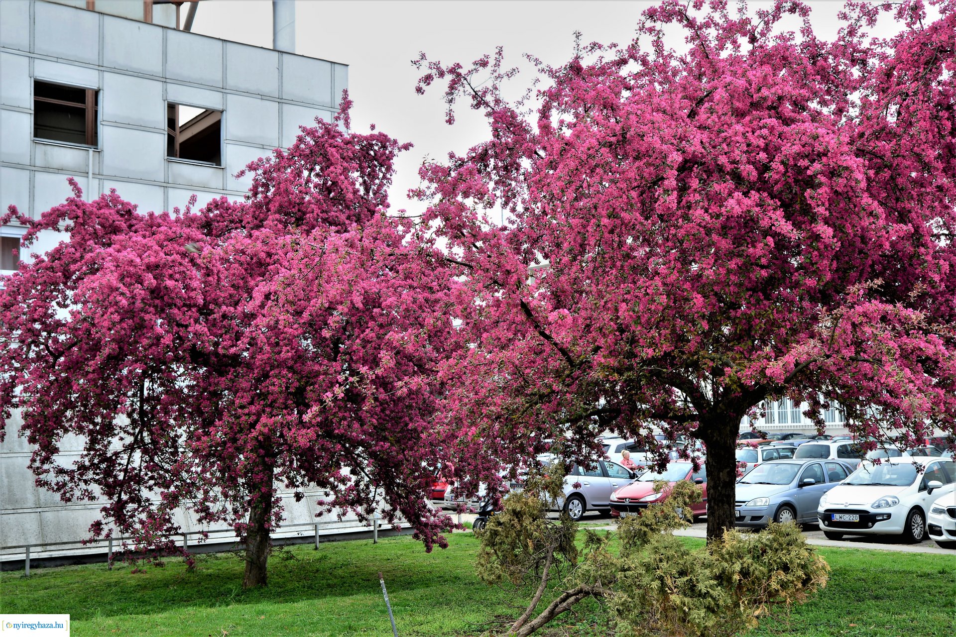 Tavasz a belvárosban