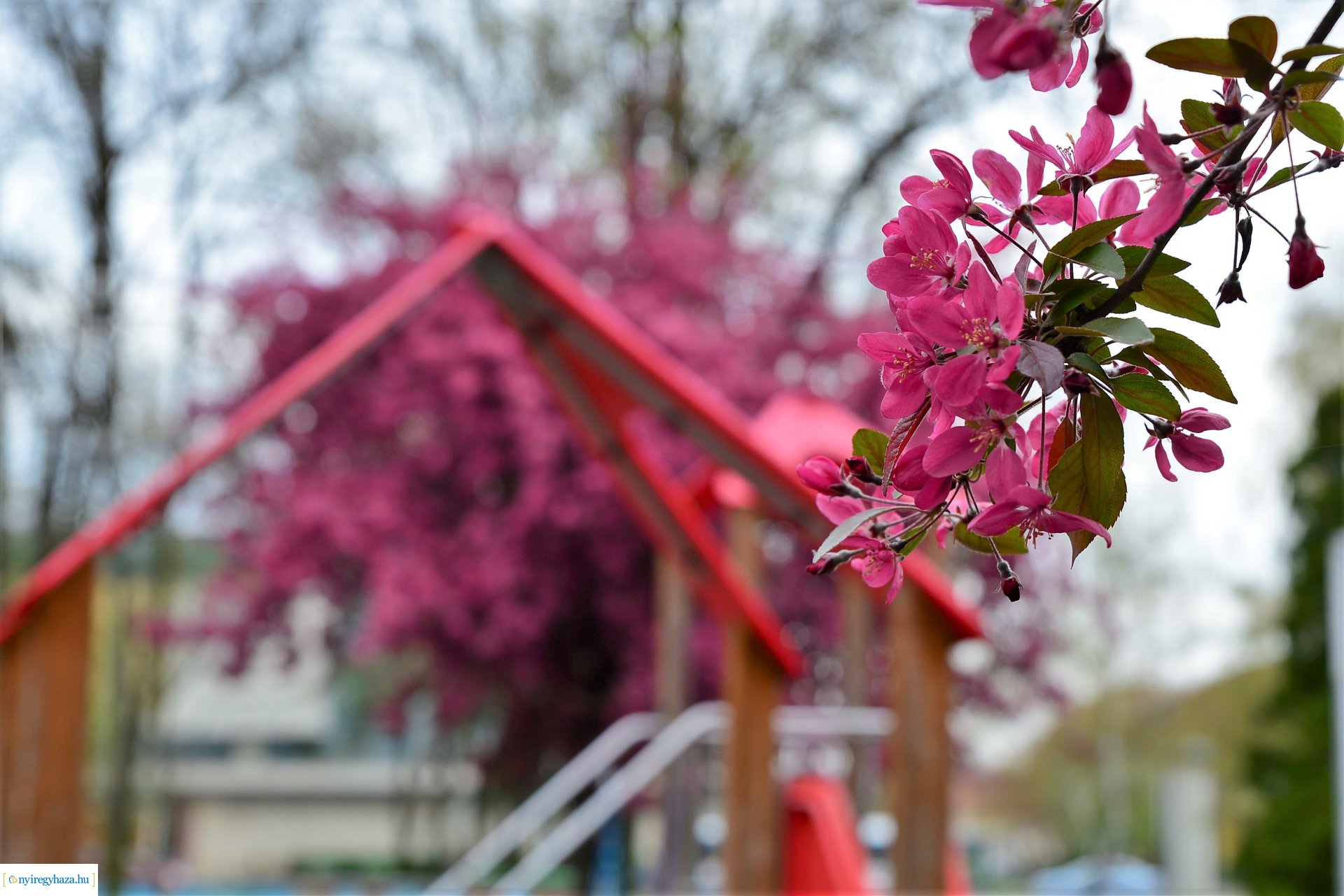 Tavasz a belvárosban