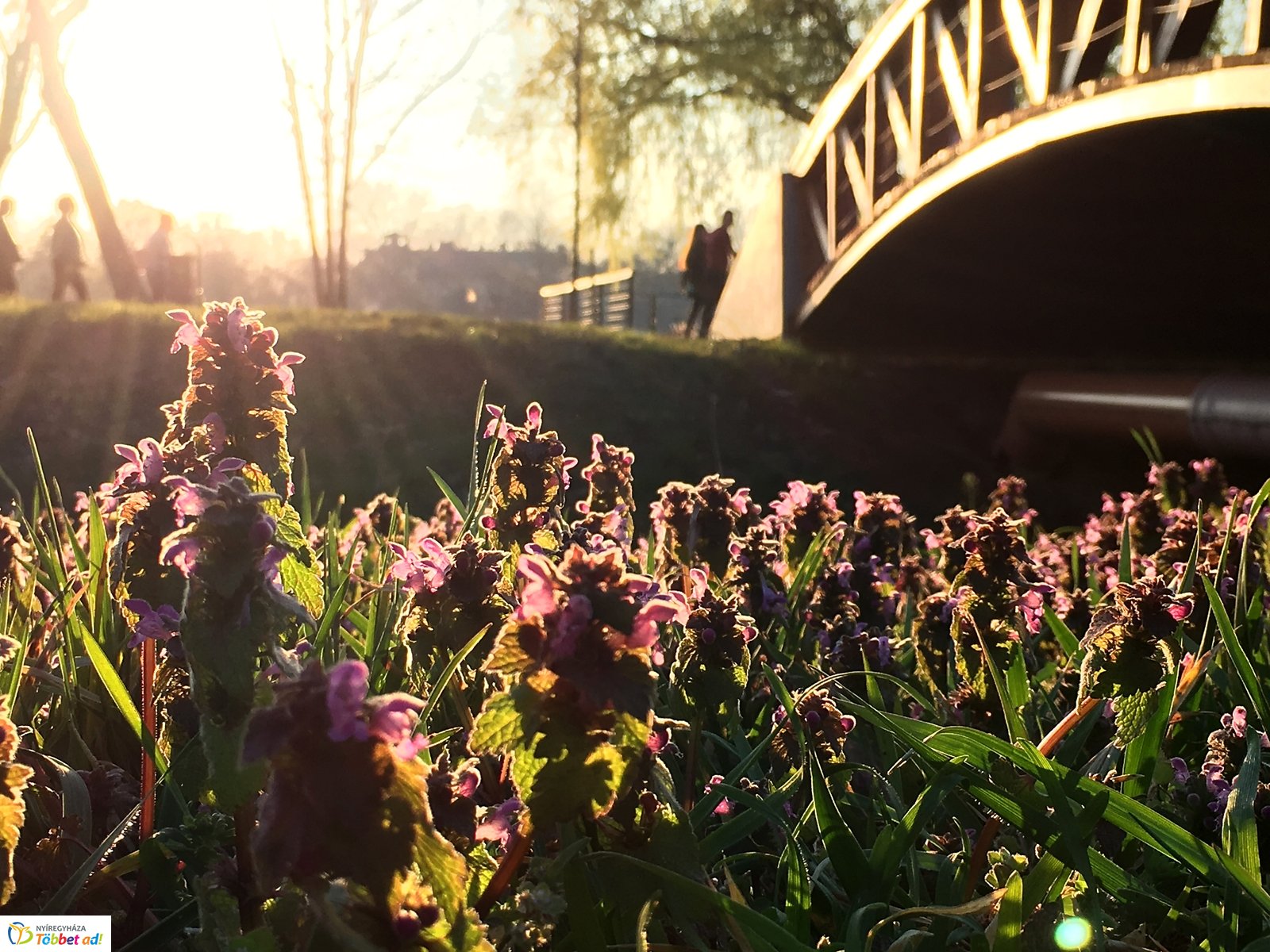 Tavaszi délután Sóstón