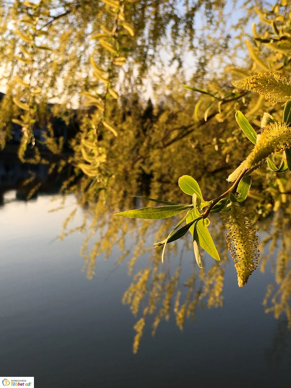 Tavaszi délután Sóstón