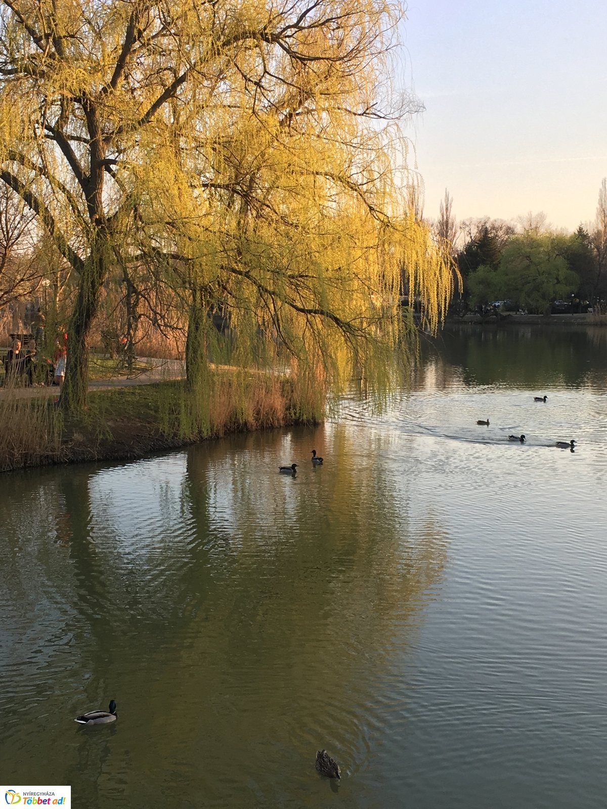 Tavaszi délután Sóstón