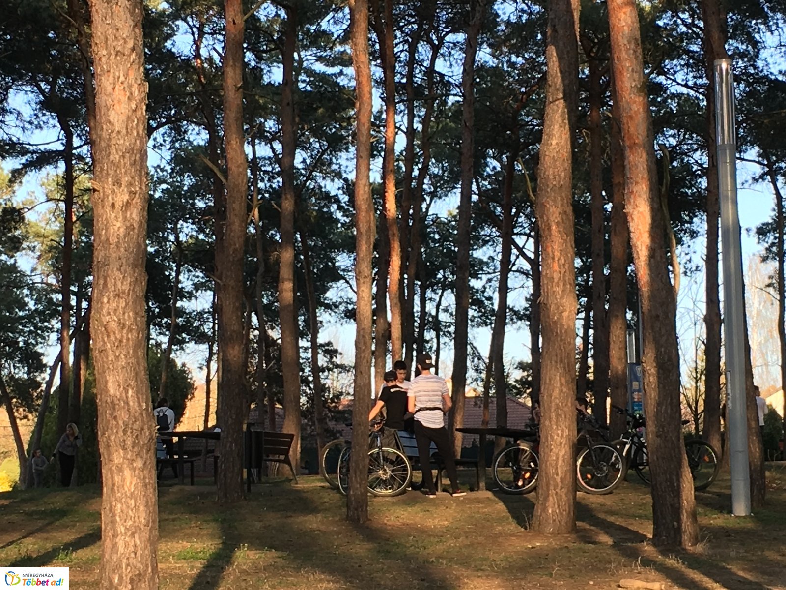 Tavaszi délután Sóstón