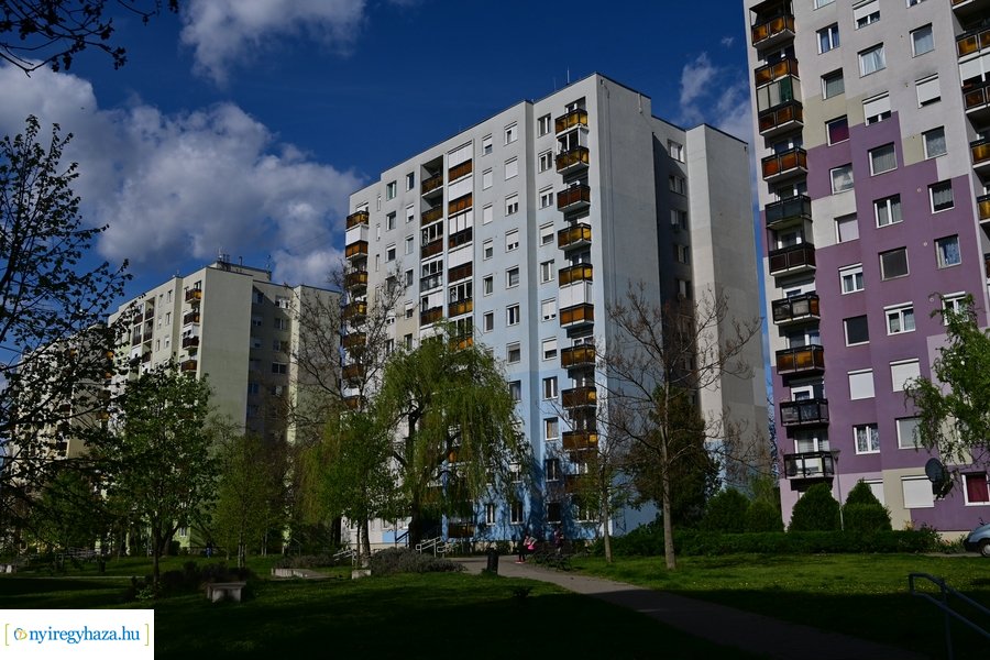 Tavaszi életképek 20240403