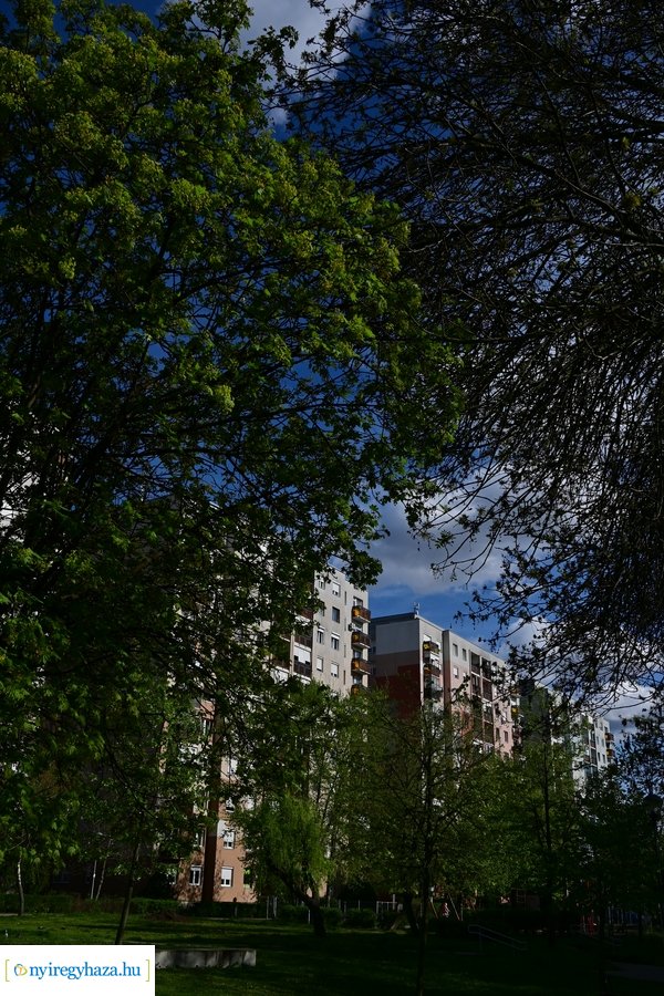 Tavaszi életképek 20240403