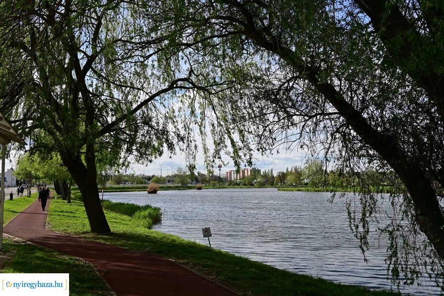 Tavaszi életképek 20240403