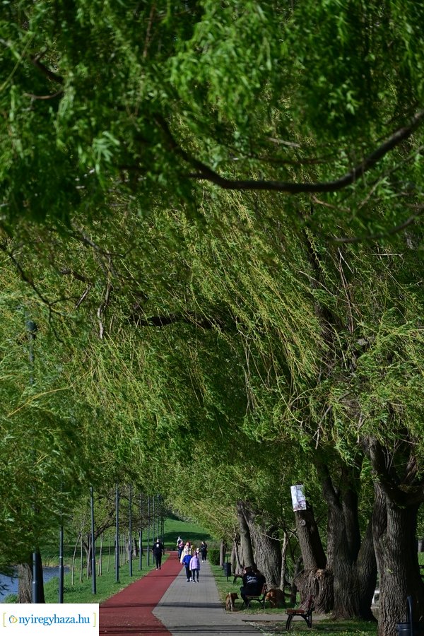 Tavaszi életképek 20240403