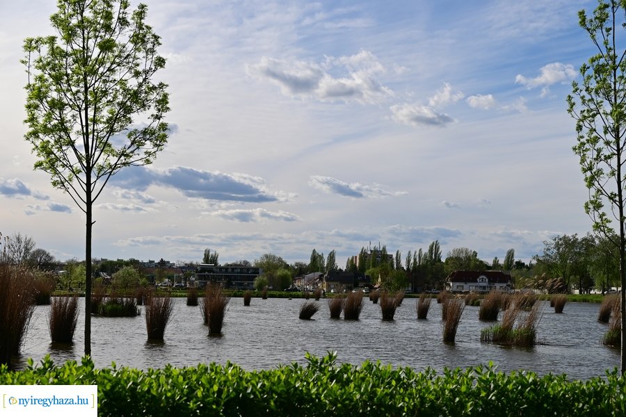 Tavaszi életképek 20240403