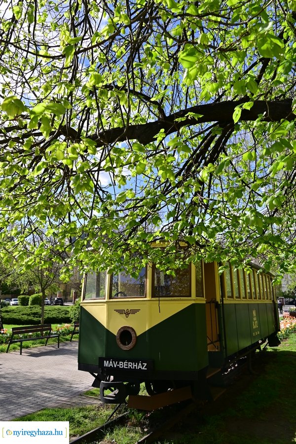 Tavaszi életképek 20240403