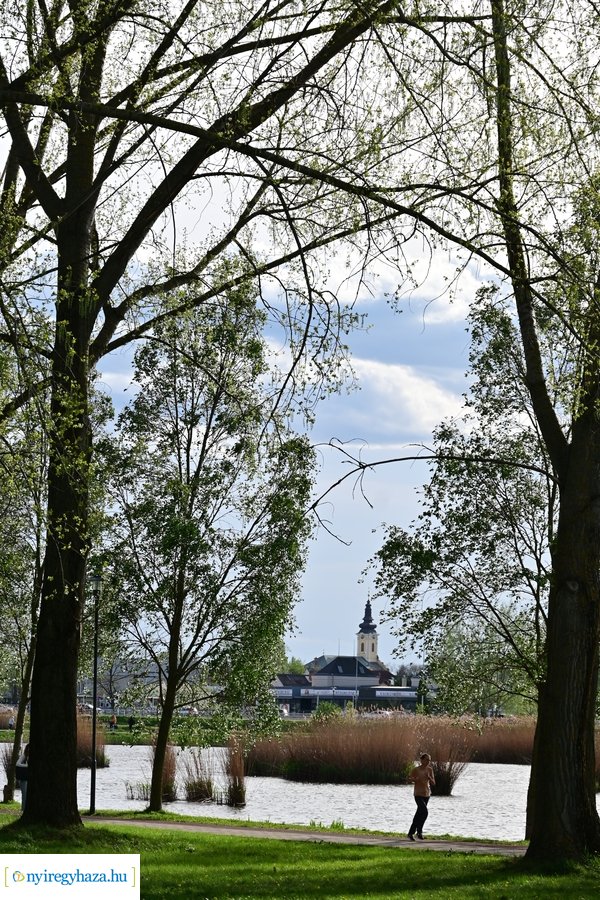 Tavaszi életképek 20240403