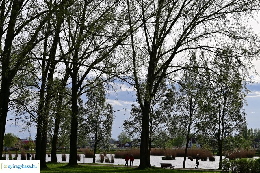 Tavaszi életképek 20240403