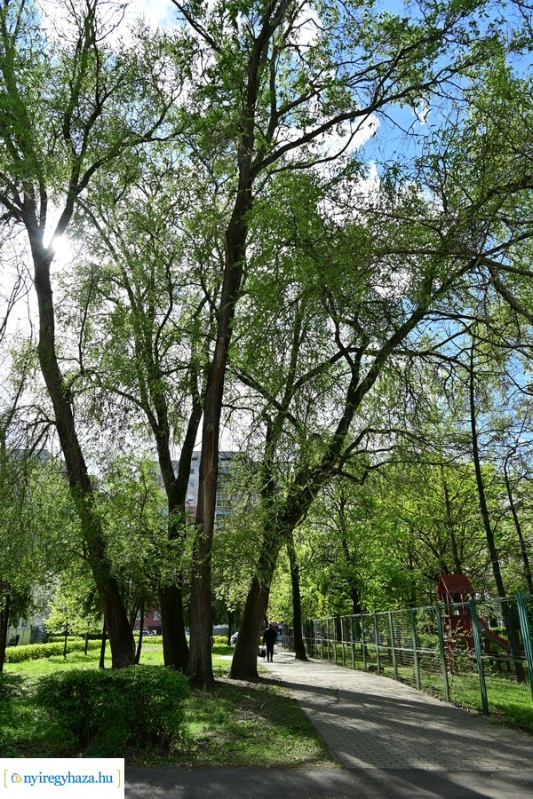 Tavaszi életképek 20240403