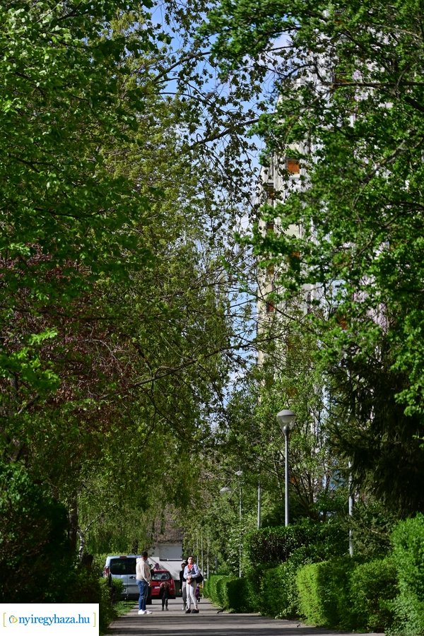 Tavaszi életképek 20240403