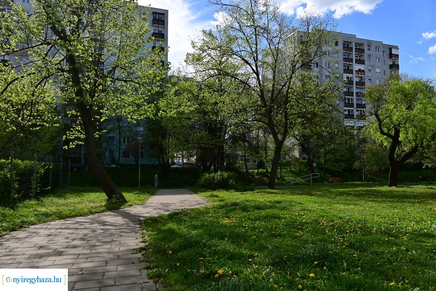 Tavaszi életképek 20240403