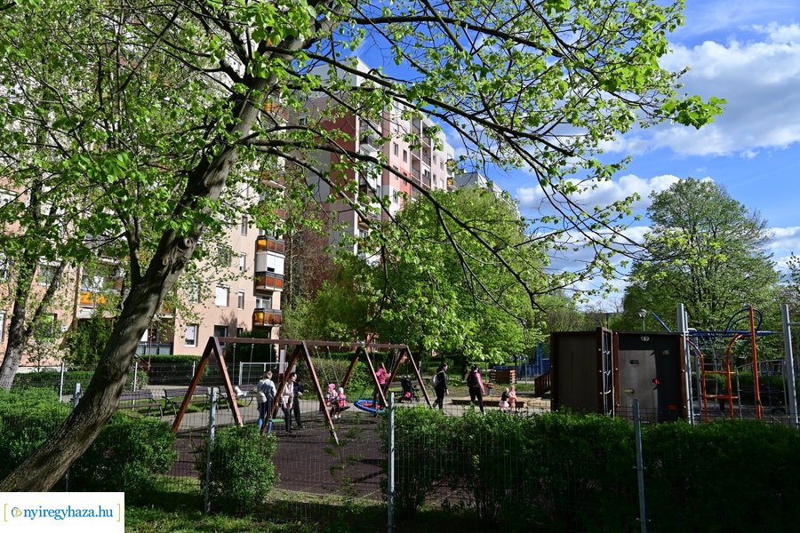 Tavaszi életképek 20240403